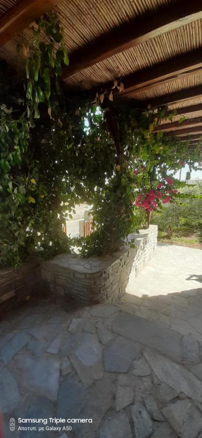Ferienwohnung Ranias House Andíparos Exterior foto